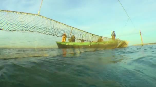 伝統的な海釣り 夏の黒海漁師は毎朝 海岸の網から捕獲された魚を抽出する — ストック動画
