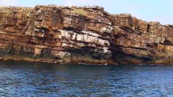 Camera Beweegt Langzaam Langs Rotsachtige Kust Van Snake Island Kust — Stockvideo