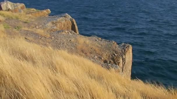 Seascape Skalnaté Pobřeží Hadího Ostrova Pod Silnými Poryvy Větru Černé — Stock video