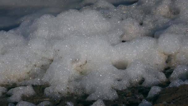 大量泡沫的形成是水库富营养化过程中有机污染的一个标志 — 图库视频影像