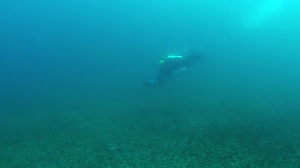 Snake Island Ukraine Aug 2016 Ein Tech Taucher Schwimmt Mit — Stockvideo