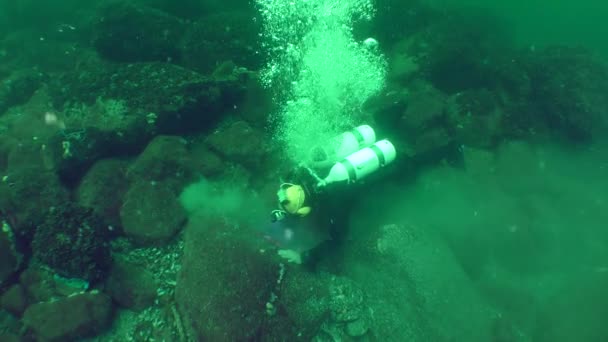 A diver with a metal detector explores the seabed. — Stockvideo