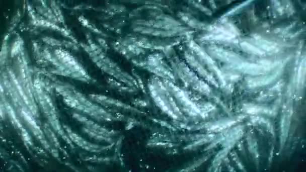 Ikan Dalam Jaring Ikan Komersial Jaring Naik Permukaan Dan Ikan — Stok Video