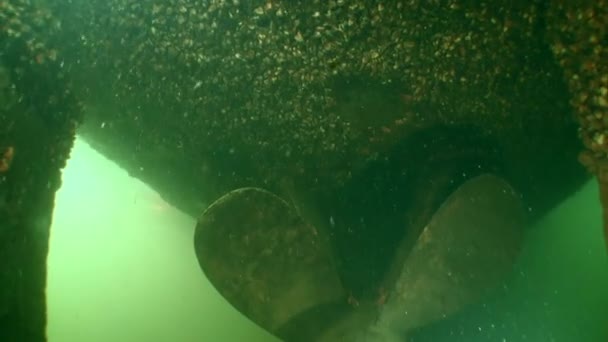 Espécies Alienígenas Câmera Mostra Parte Subaquática Navio Coberta Pelas Inúmeras — Vídeo de Stock