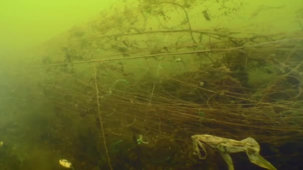 Spökfiskenät Kameran Rör Sig Långsamt Längs Det Förlorade Fiskenätet Längst — Stockvideo