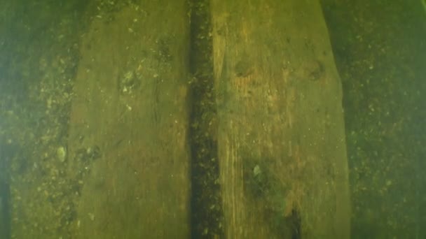 考古研究 通过浑浊的河水 摄像机沿着乌克兰第聂伯河哥萨克人的一艘古老木船底部的木板缓慢移动 — 图库视频影像