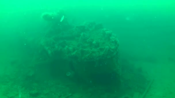 スネーク島でのダイビング カメラはゆっくりと軍の残骸の殻に近づきます 水コラムには多くのクラゲがあります 第1次世界大戦の難破船 ウクライナ — ストック動画