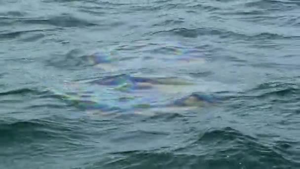 Zeeolieverontreiniging Een Reeks Olievlekken Een Stormachtig Zeeoppervlak Dat Uit Diepten — Stockvideo