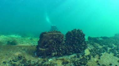 ODESSA, UKRAINE - 14 Ocak 2019: Su altı scooterlı bir dalgıç paslı enkaz parçalarının üzerinde yüzüyor ve kameradan uzaklaşıyor.