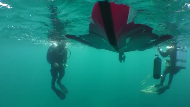 Les Plongeurs Ajustent Leur Équipement Tout Nageant Côté Bateau Gonflable — Video