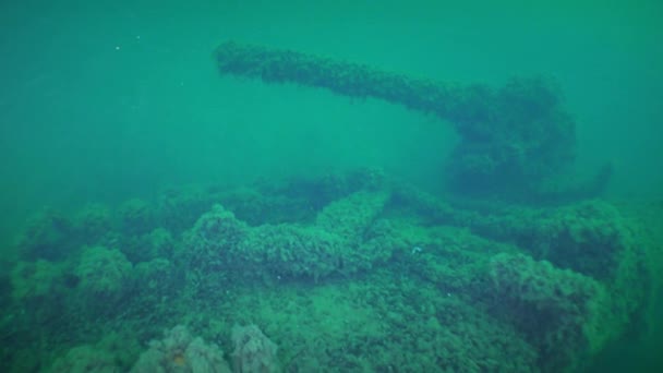 Vrak Potápění Kamera Pomalu Blíží Kanónu Palubě Potopené Válečné Lodi — Stock video