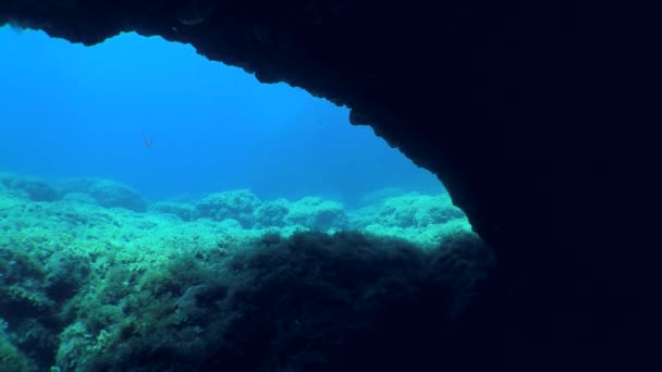 相机从黑暗的水下石窟出口进入开阔水域 — 图库视频影像