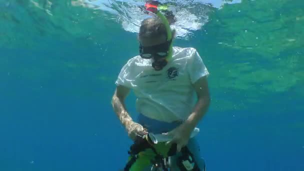 Freediver Verifica Câmera Subaquática Nada Distância — Vídeo de Stock