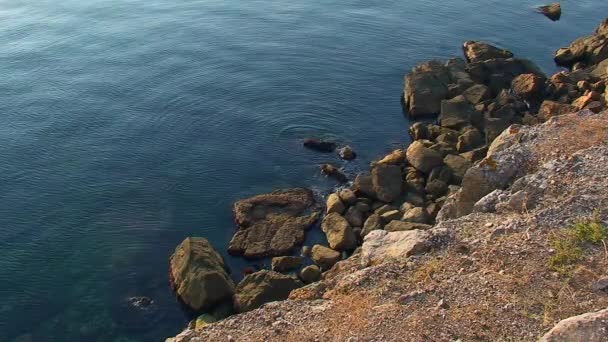 Seascape Kusten Snake Island Ringar Havsytan Bildar Ett Besynnerligt Mönster — Stockvideo