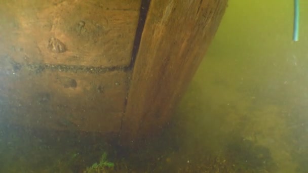 考古学的研究 18世紀の木造船の弓 ドニーパー川 ウクライナ — ストック動画