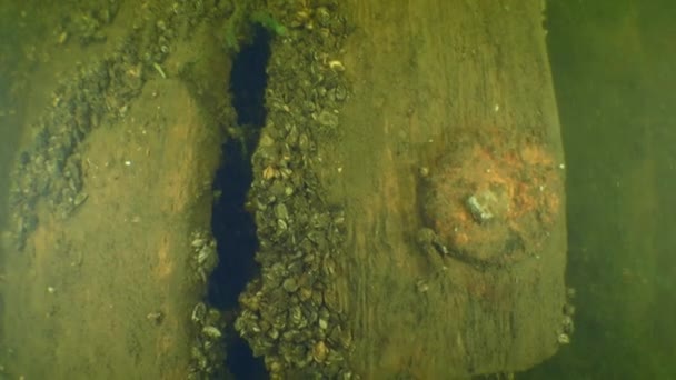 考古研究 摄像机沿着一艘古老木船底部的木板缓慢地移动 其中一艘木船上有一个生锈的金属部分 乌克兰第聂伯河 — 图库视频影像