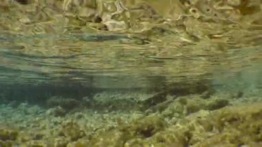 Deniz yüzeyinde dalgalanmalar kayalık sığ suların üstünde, alt manzara.