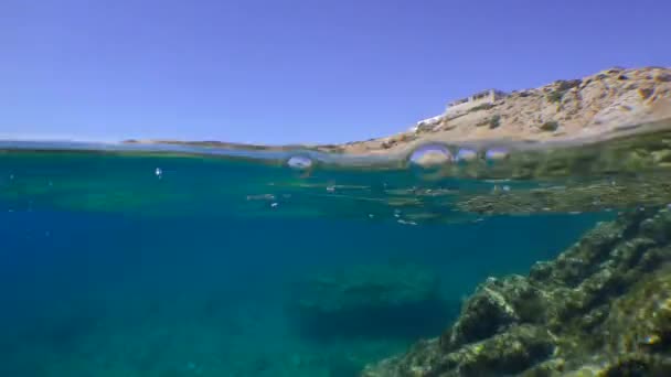 Split Een Camera Zeeniveau Hetzelfde Moment Toont Een Onderwater Oppervlakte — Stockvideo