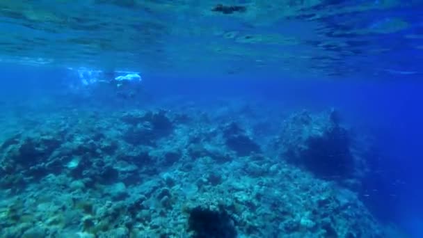 Фридайвер Камерой Уплывает Вдоль Скалистой Прибрежной Скалы Оставляя След Воздушных — стоковое видео