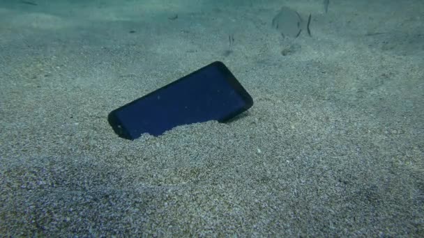 Ztracený Smartphone Písčitém Dně Pozadí Několik Annular Mořské Ryby — Stock video