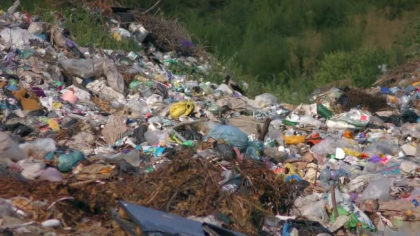 Wysypisko Śmieci Wysypisko Śmieci Wysypisko Śmieci Duża Część Odpadów Gospodarstw — Wideo stockowe