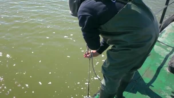 海洋科学海洋調査 手動底グラブを使用して底土のサンプルを取る — ストック動画