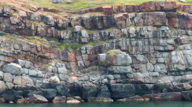 Kamera Yılan Adası 'nın kayalık kıyısı boyunca yavaşça hareket eder, taşın yapısı görülebilir. Karadeniz, Ukrayna.