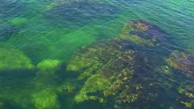 Deniz altı peyzajları - alglerle kaplı, sığ deniz suyuyla kaplı taşlardan oluşan siluetler dalgalı su yüzeyinden görülebiliyor, yavaşça dönüyor. Karadeniz, Ukrayna.
