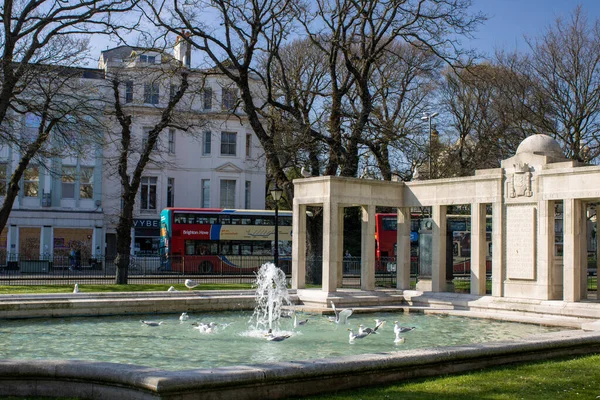 Mewy Fontannie Pomnika Wojny Brighton — Zdjęcie stockowe