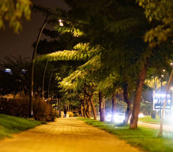 Міський Парк Біжить Дорозі Вночі — стокове фото