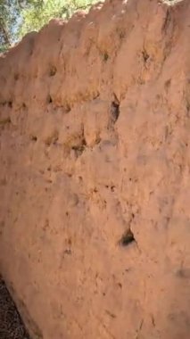 Güneşli bir günde Suudi Arabistan 'da Alula Oasis Oasis Miras Yolu' nda yürürken çekilmiş dikey POV görüntüleri.. 