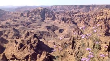 Alula Harrat 'ın Suudi Arabistan' daki engebeli dağları gösteren panoramik bakış açısı.