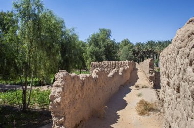 Güneşli bir günde Suudi Arabistan 'daki Oasis Miras Yolu manzarası. 