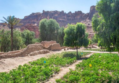 Suudi Arabistan 'daki Oasis Miras Yolu manzarası güneşli bir günde ağaçlar ve kaya dağlarıyla çevrili.. 