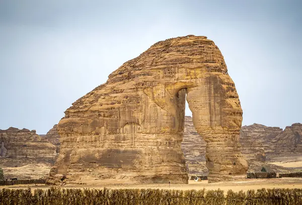 Güneşli bir günde Suudi Arabistan 'daki ünlü fil kayası manzarası.  