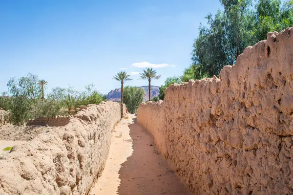 Güneşli bir günde Suudi Arabistan 'daki Oasis Oasis Patikası' nın yakınındaki hurma ağaçları manzarası. 