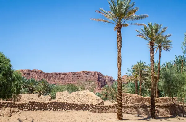 Güneşli bir günde, hurma ağaçları ve kaya dağlarıyla Suudi Arabistan 'daki Oasis Patikası manzarası. 