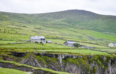 Kerry, İrlanda 'daki Dingle Yarımadası' nın güzel manzarası. 