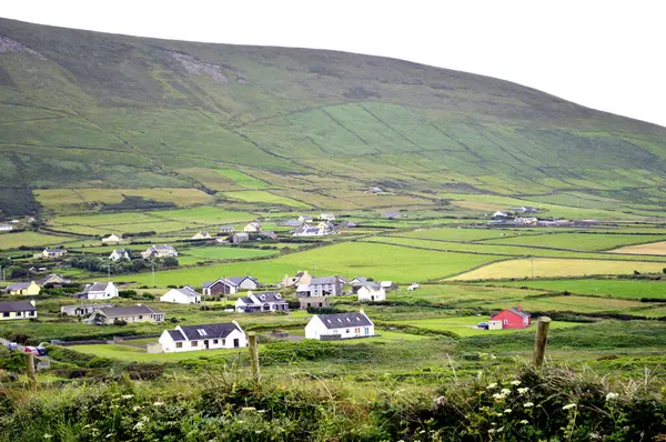 Kerry, İrlanda 'daki Dingle Yarımadası' nın güzel manzarası. 