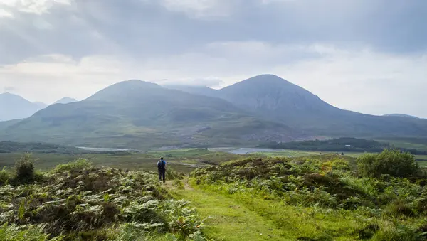 Güneşli bir günde İskoçya 'nın Skye Adası' ndaki dağa doğru yürüyen yalnız bir erkek yürüyüşçünün arka görüntüsü..  