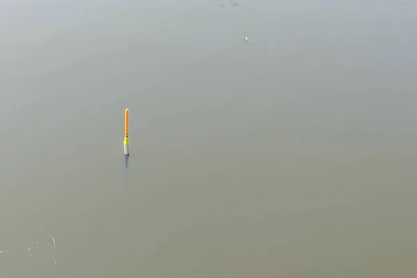 Один Красный Поплавок Плавает Поверхности Воды Пруда Нетронутым — стоковое фото
