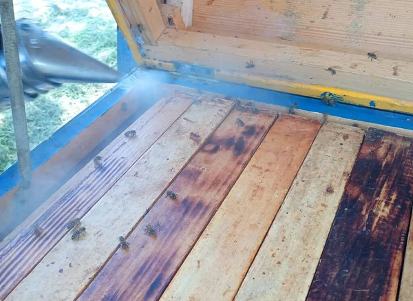 Μελισσοκόμος Μελισσοκομείο Δουλεύει Καμινάδα Καπνίζει Μέλισσες Από Πλαίσιο Της Κυψέλης — Φωτογραφία Αρχείου