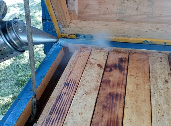Δουλεύοντας Την Καμινάδα Στο Μελισσοκομείο Ηρεμώντας Τις Μέλισσες Καπνό Ψεκάζοντας — Φωτογραφία Αρχείου