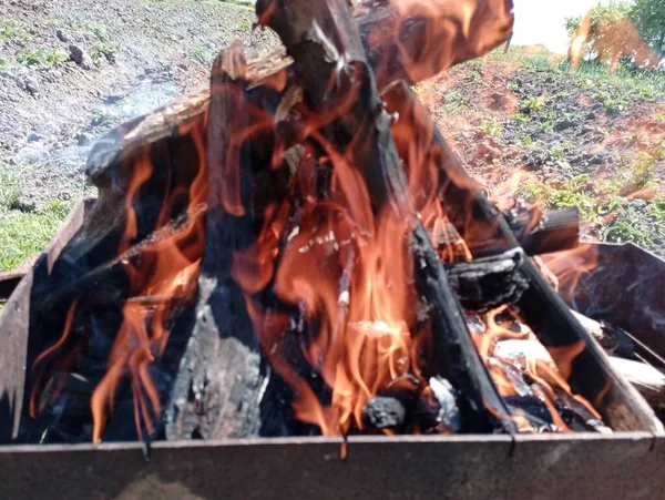 火事だ バーベキュー用薪 グリルで火事だ 魚のケバブの準備の段階の一つ — ストック写真