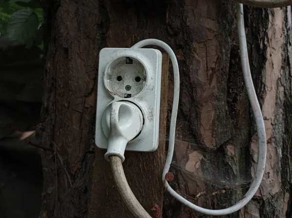 나무에 전기와 에너지 — 스톡 사진