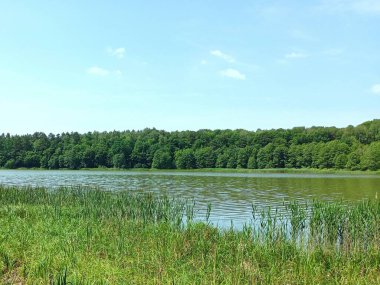 Ticari balık yetiştirmek için bir gölet. Eğlence ve balıkçılık için bir gölet..