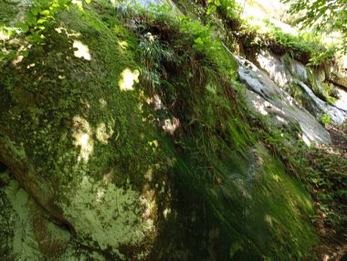 Rocky Stone Dağı arazisi. Kayalık kaya yosunlarla kaplı. Jeolojik dağ oluşumları. Ukrayna 'nın tarihi yerleri.