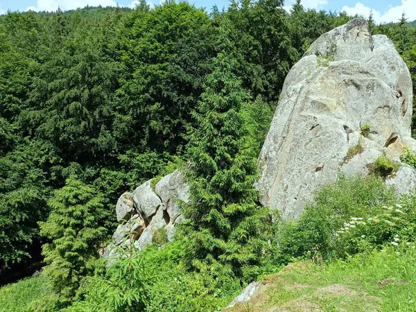 Kamenné Balvany Horské Geologické Útvary Skála Pozadí Jehličnatého Lesa — Stock fotografie