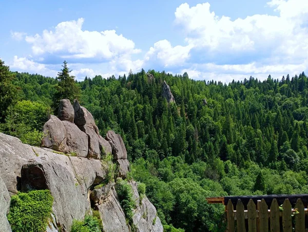 Karpaten Rotsformaties Rock Achtergrond Van Het Bos Karpaten Landschap — Stockfoto