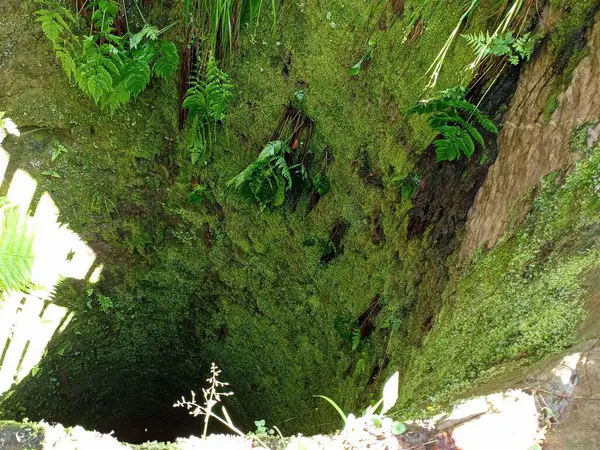Středověká Studna Stěny Staré Studny Jsou Pokryty Zeleným Mechem Zdroje — Stock fotografie